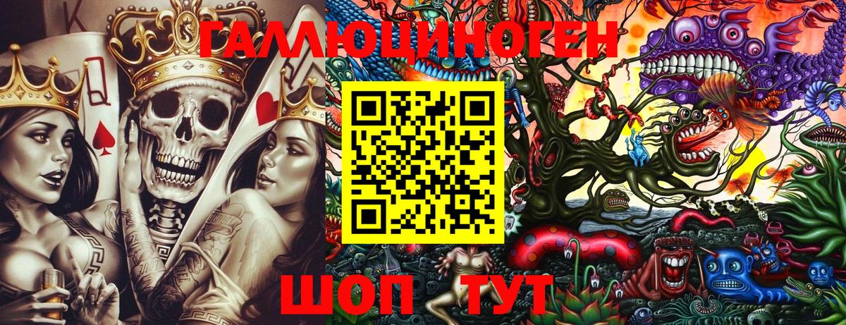 Фурманов  Псилоцибиновые грибы Psilocybe  Вход с VPN 