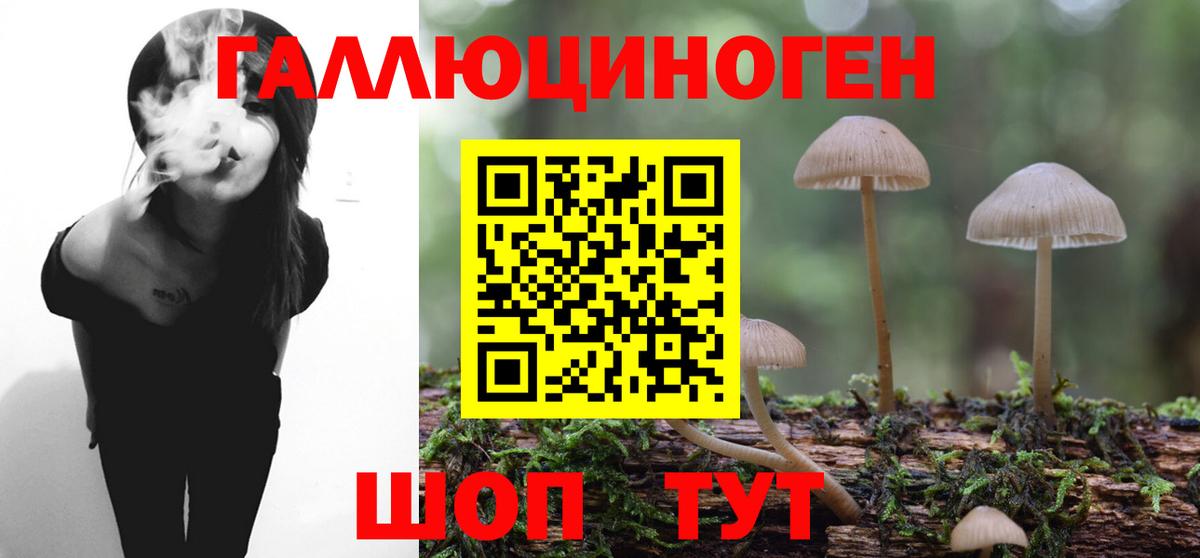 Бошки Шишки Фурманов