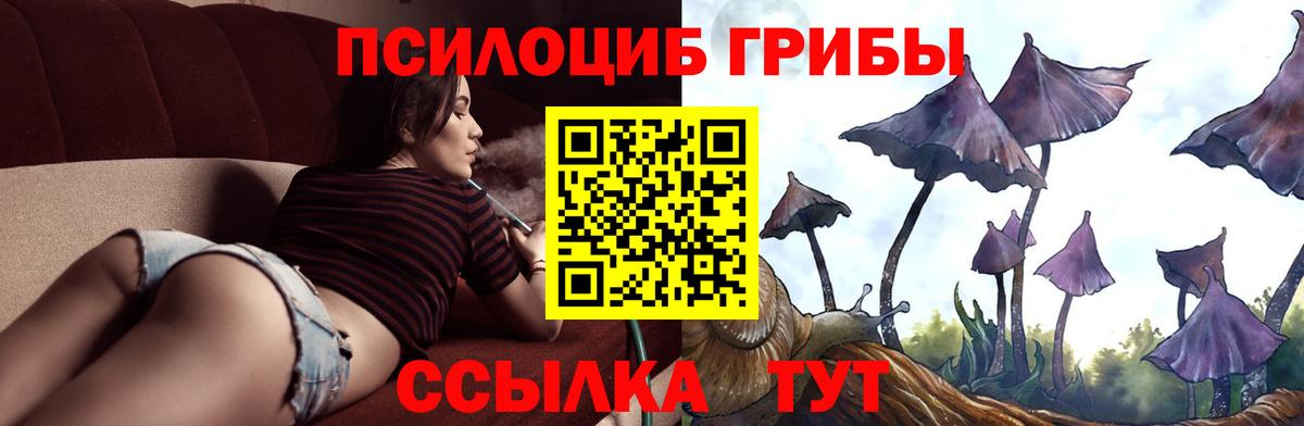 Галлюциногенные грибы MAGIC MUSHROOMS Фурманов